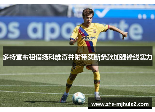 多特宣布租借扬科维奇并附带买断条款加强锋线实力